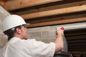 pest control vancouver - inspection