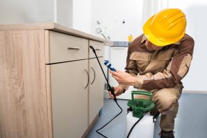 pest control vancouver experts