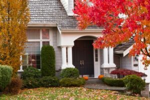 fall pest control tips vancouver - assured environmental